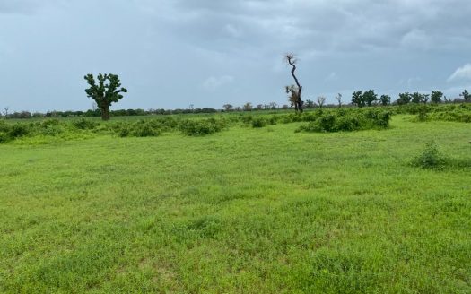 Terrain Agricole de 22ha