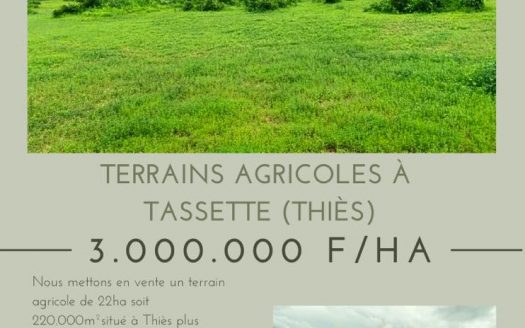 Terrain Agricole de 22ha