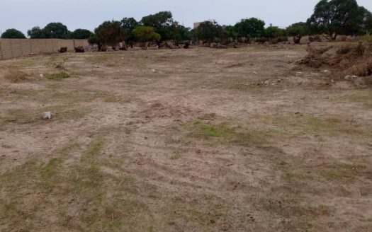 Terrain de 150m2