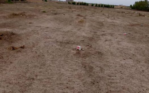 Terrain de 150m2