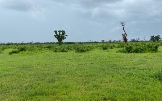 Terrain Agricole de 22ha