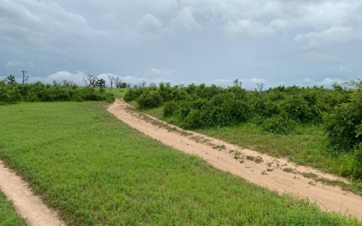 Terrain Agricole de 22ha