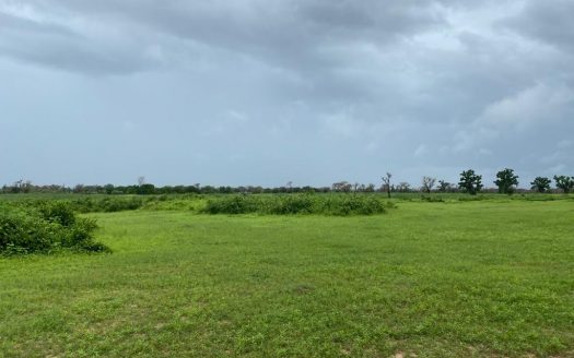 Terrain Agricole de 22ha