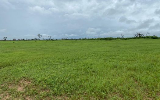 Terrain Agricole de 22ha