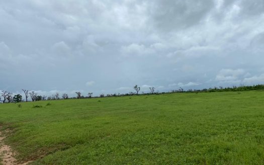 Terrain Agricole de 22ha