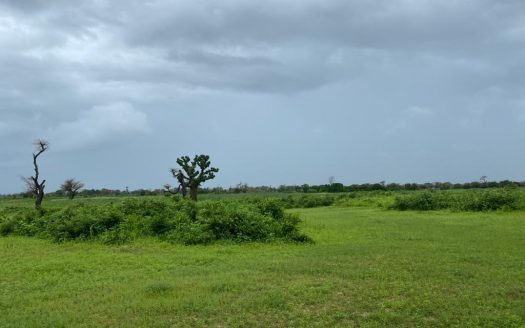 Terrain Agricole de 22ha