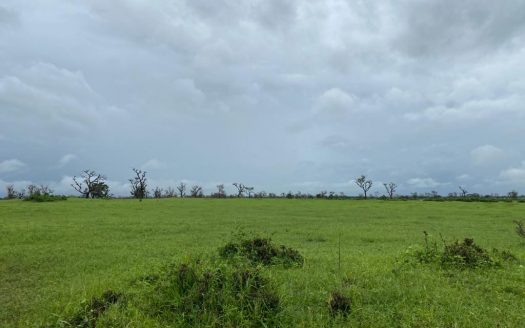 Terrain Agricole de 22ha