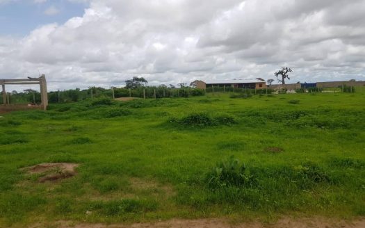 Terrain agricole de 1ha