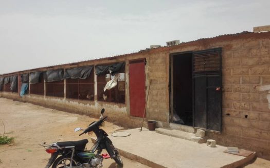 Terrain agricole de 1ha