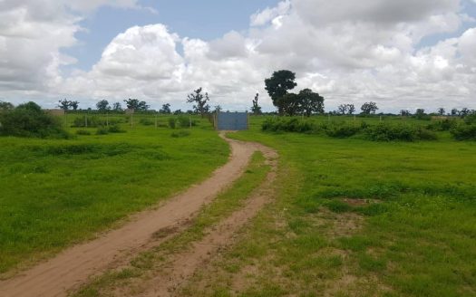 Terrain agricole de 1ha
