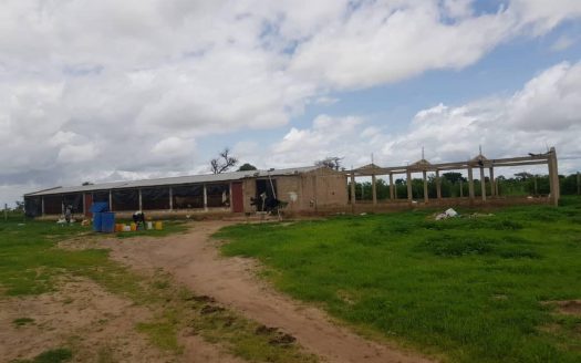 Terrain agricole de 1ha