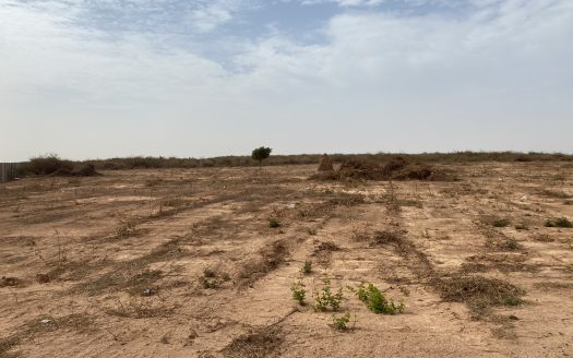 Terrains de 150m2 à Diass en face du péage