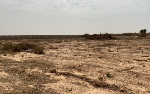 Terrains de 150m2 à Diass en face du péage