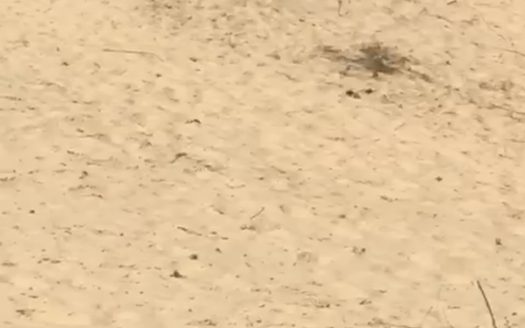 Terrains de 150m2 au Lac Rose (Déni Guedj Nord)