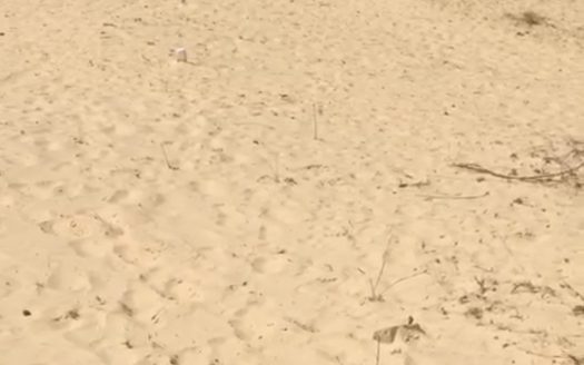 Terrains de 150m2 au Lac Rose (Déni Guedj Nord)