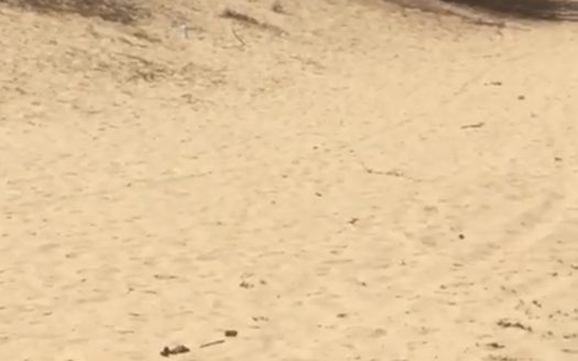 Terrains de 150m2 au Lac Rose (Déni Guedj Nord)