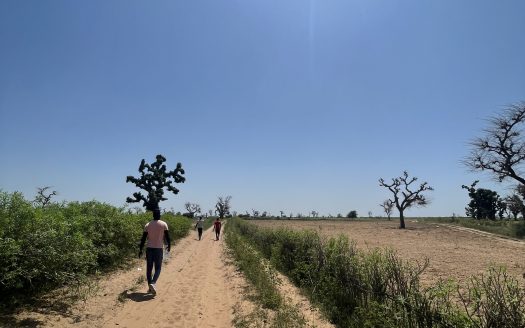 Terrain agricole de 4 ha à Thiénaba