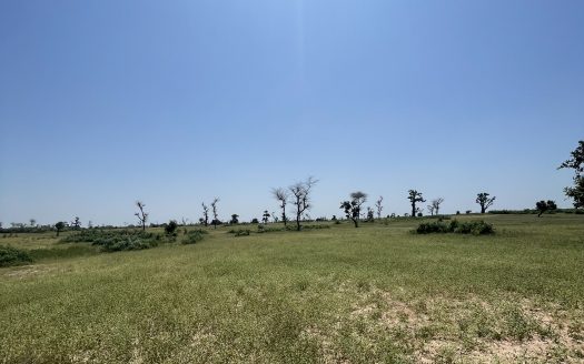 Terrain agricole de 4 ha à Thiénaba