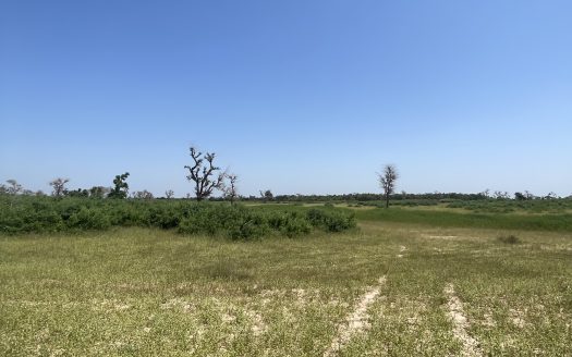 Terrain agricole de 4 ha à Thiénaba