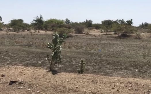 Terrain de 3 ha à Mbodiène