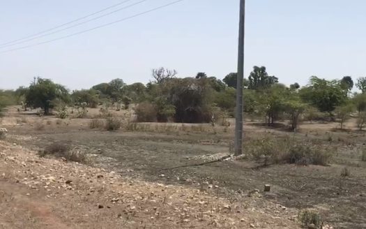 Terrain de 3 ha à Mbodiène