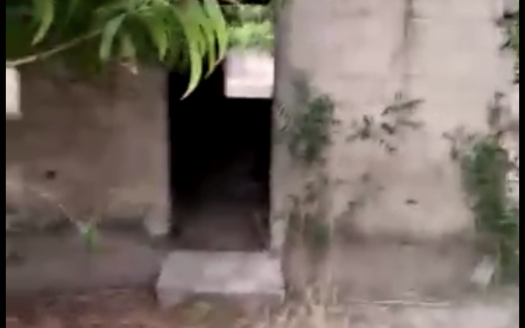 Terrain agricole de 2 ha à Ndoffane