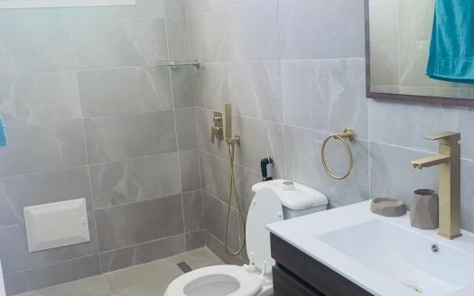 Villa de 3 chambres à Ngaparou